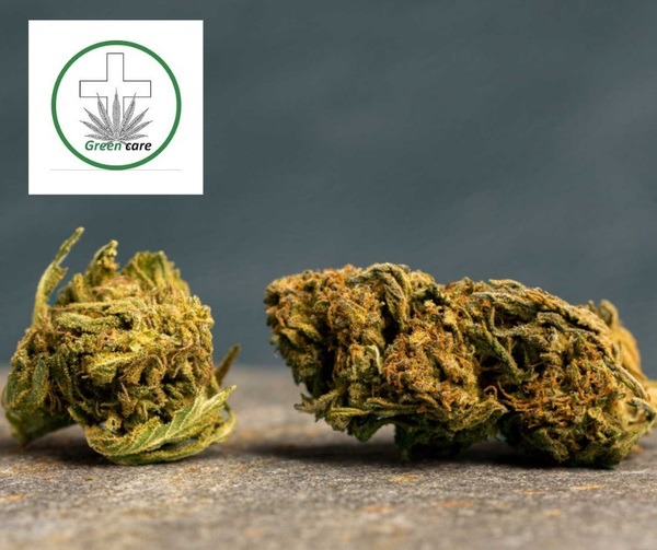 Green Care ouvre un nouveau magasin à Landivisiau