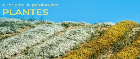 Une nouvelle franchise YIANGO ouvre ses portes à Niort