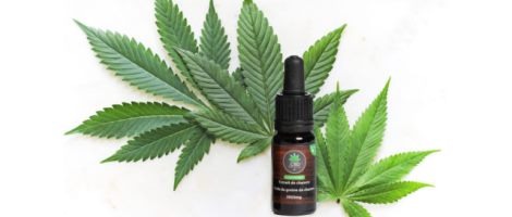 Ouvrez une franchise Le CBD Français et devenez un spécialiste du CBD !