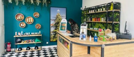 Coup de projecteur sur le concept de la franchise CBWEED