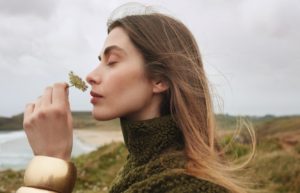 Entreprendre avec la franchise Yves Rocher