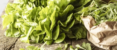 Focus sur le concept de la franchise Naturalia