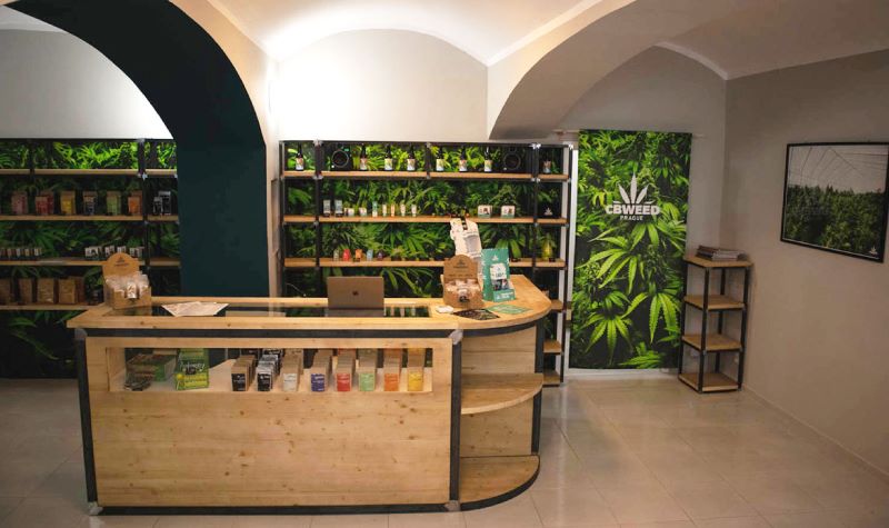 Intérieur boutique CBWEED