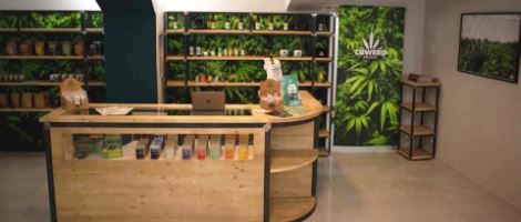 Focus sur le design intérieur des boutiques du réseau CBWEED