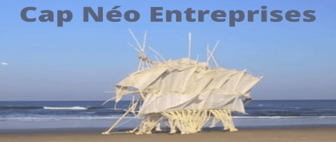 Cap Néo Entreprises, un concept unique pour les entrepreneurs