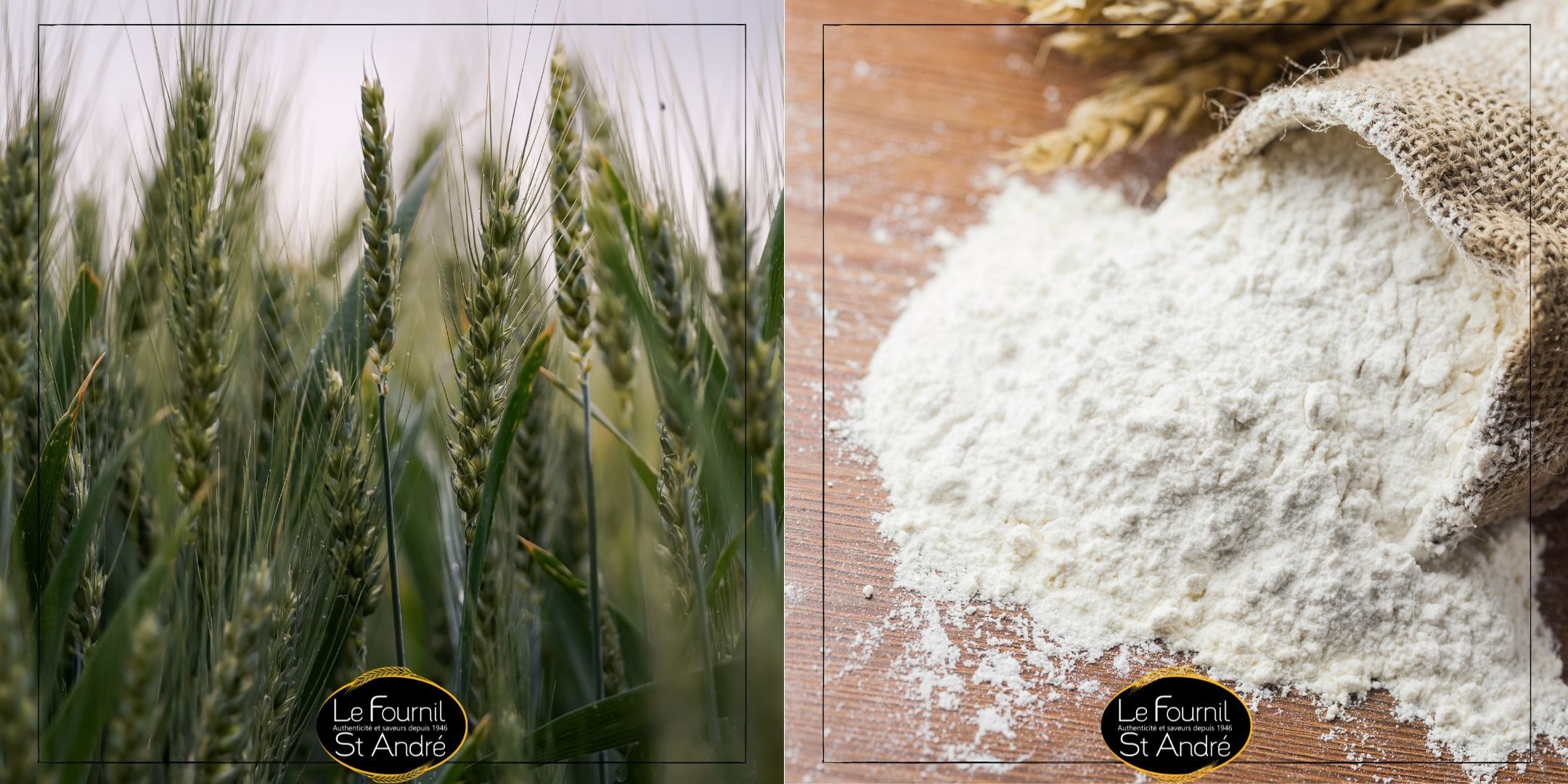 La franchise Le Fournil Saint-André en 5 questions/réponses