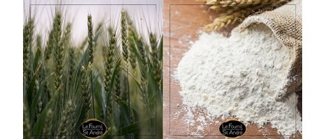 La franchise Le Fournil Saint André vise l’excellence !