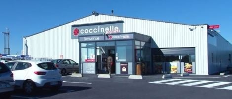 Devenir affilié Coccinelle ou Coccimarket : profil et avantages