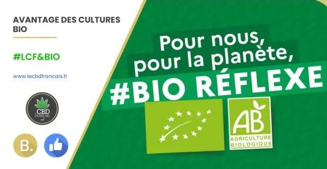 Le CBD Français encourage l’agriculture biologique