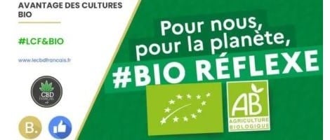 Le CBD Français encourage l’agriculture biologique