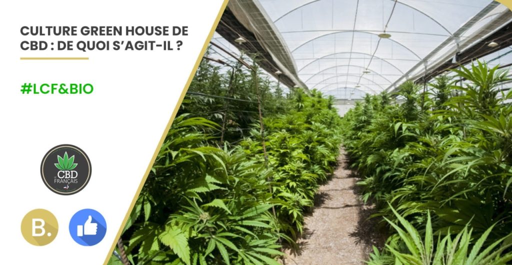 Le CBD Français, Green House CBD