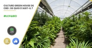 Le CBD Français, Green House CBD