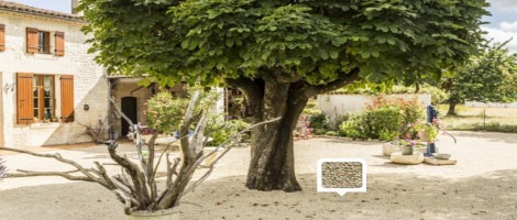 Daniel Moquet : nouvelle marque & nouveau franchisé