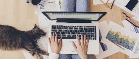 Quelles sont les différences entre franchise et auto-entrepreneuriat ?