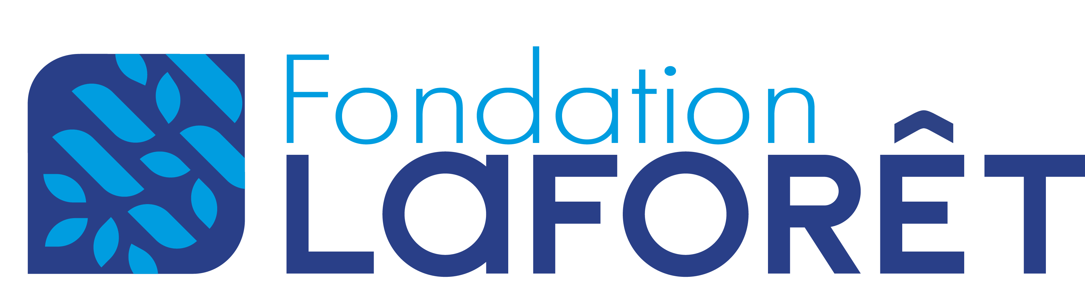 Fondation Laforêt