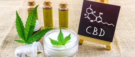 Quelles sont les perspectives du marché du cannabidiol d’ici 2025 ?