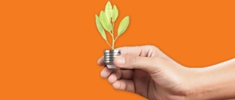 Comptoir de Location rappelle ses engagements environnementaux et poursuit son développement