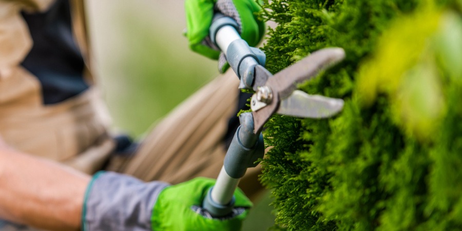 Franchise paysagiste aménagement extérieur