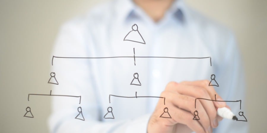 Franchiseur et structure opérationnelle