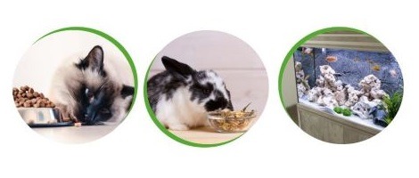 DO&KA veut accélérer son développement en franchise