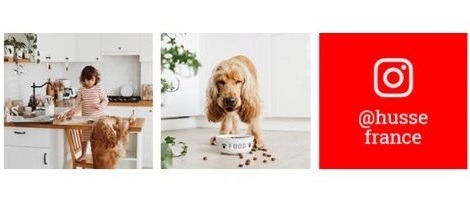 Parcours de Fabien Amailland, franchisé Husse en Vendée