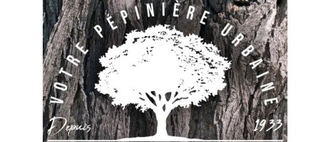 Entreprendre avec la franchise Arbres & Co, ce qu’il faut savoir !