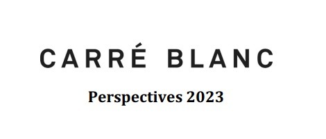 Les perspectives de développement de la franchise Carré Blanc pour 2023
