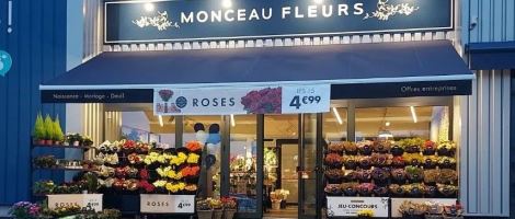 Monceau Fleurs propose ses dernières opportunités de franchise dans le Sud-Ouest