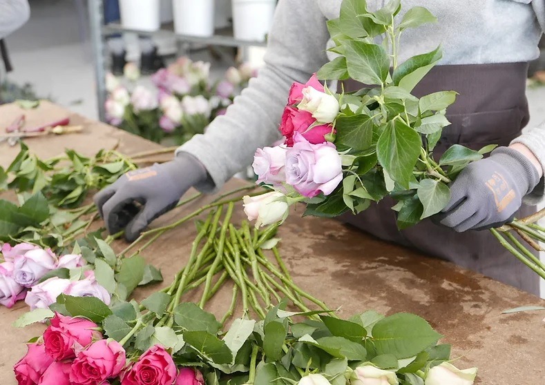 Fleurs Emova Group