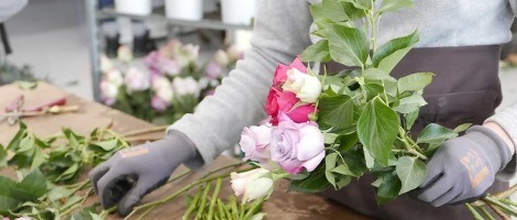 Emova Group privilégie un développement durable