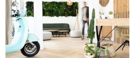 RP Green : Une franchise immobilière éco-responsable