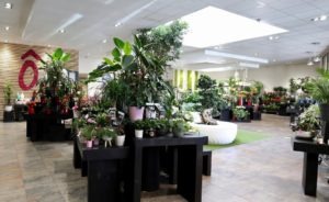 Intérieur boutique Fleurs Ô Naturel