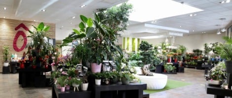 Pourquoi rejoindre le réseau Fleurs Ô Naturel ?