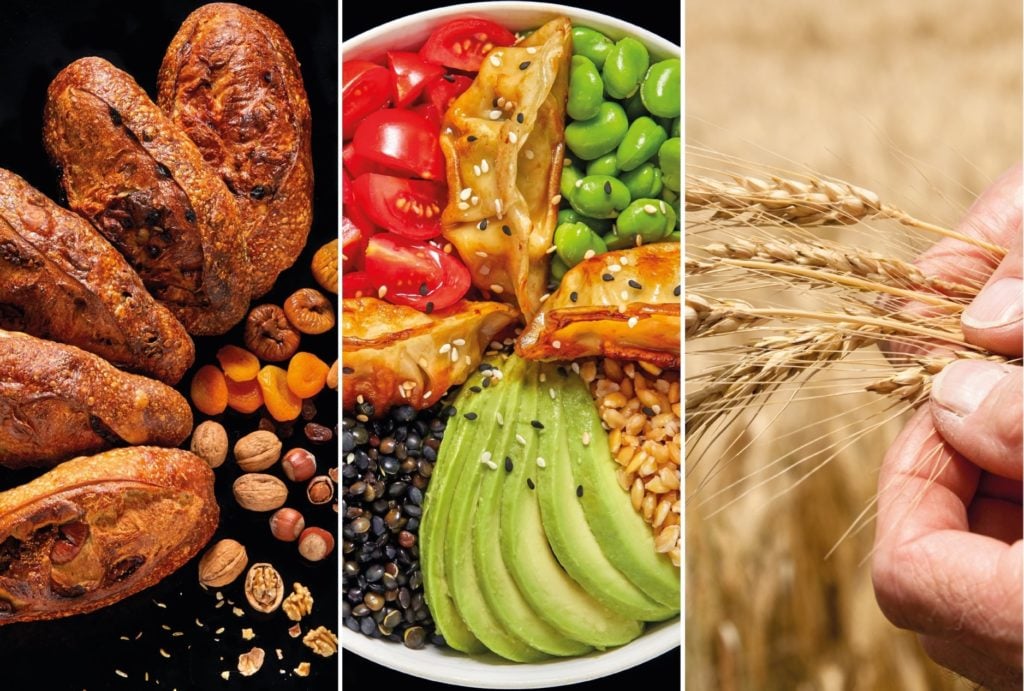 Concept L’atelier Papilles