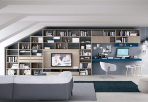 Aménagement salon et bibliothèque