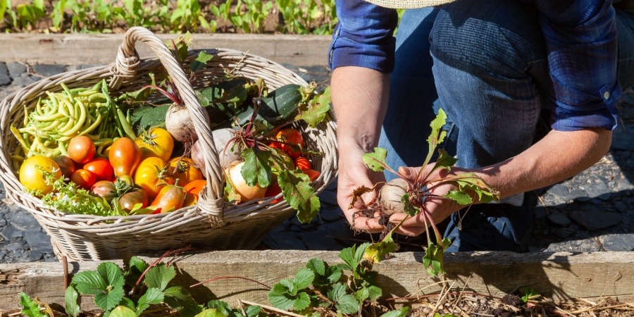 ouvrir une franchise carrefour