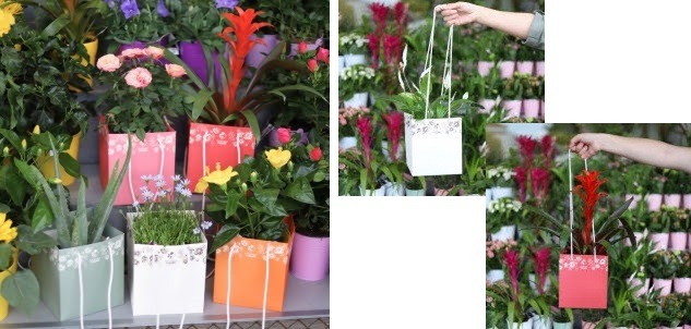 Carrément Fleurs, emballages en papier kraft