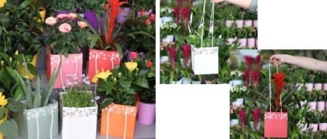 Carrément Fleurs œuvre pour réduire son impact environnemental