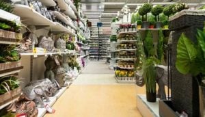 Intérieur magasin Maxi Bazar