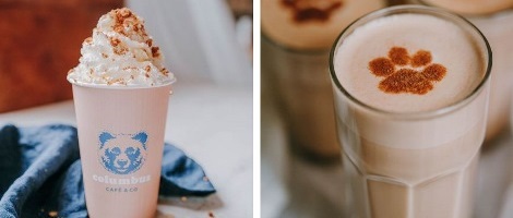 Columbus Café & Co s’installe à Sarrebourg : ouverture imminente au centre Les Terrasses