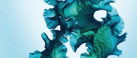 Groupe Rocher veut céder ses marques Petit Bateau et Stanhome