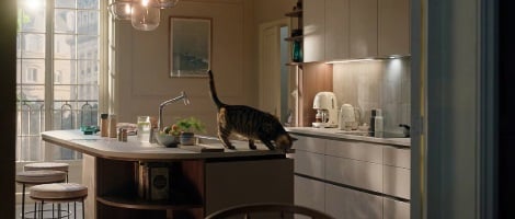 La visibilité au cœur de la stratégie du réseau Mobalpa