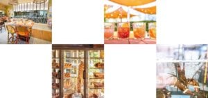 Concept La Côte et l’Arête