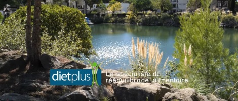 Dietplus présente les coachs qui composent son G4 