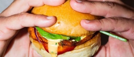 Explorez l’univers unique de la franchise Spok !