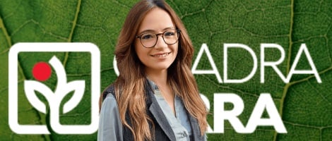 L’éco-paysagisme en franchise : Quadra Terra séduit les entrepreneurs en quête de sens