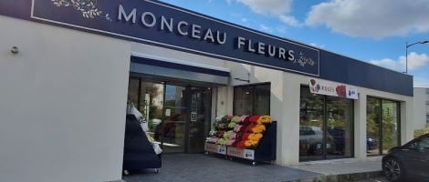 Expansion et formation : les deux leviers de croissance de Monceau Fleurs
