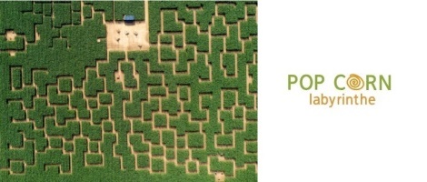 Franchise Pop Corn Labyrinthe : une activité saisonnière à fort potentiel