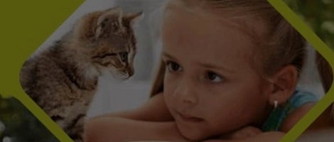 La franchise Direct Croquette décryptée en 5 questions/réponses