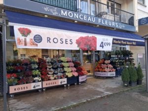 Monceau Fleurs Lons-le-Saunier